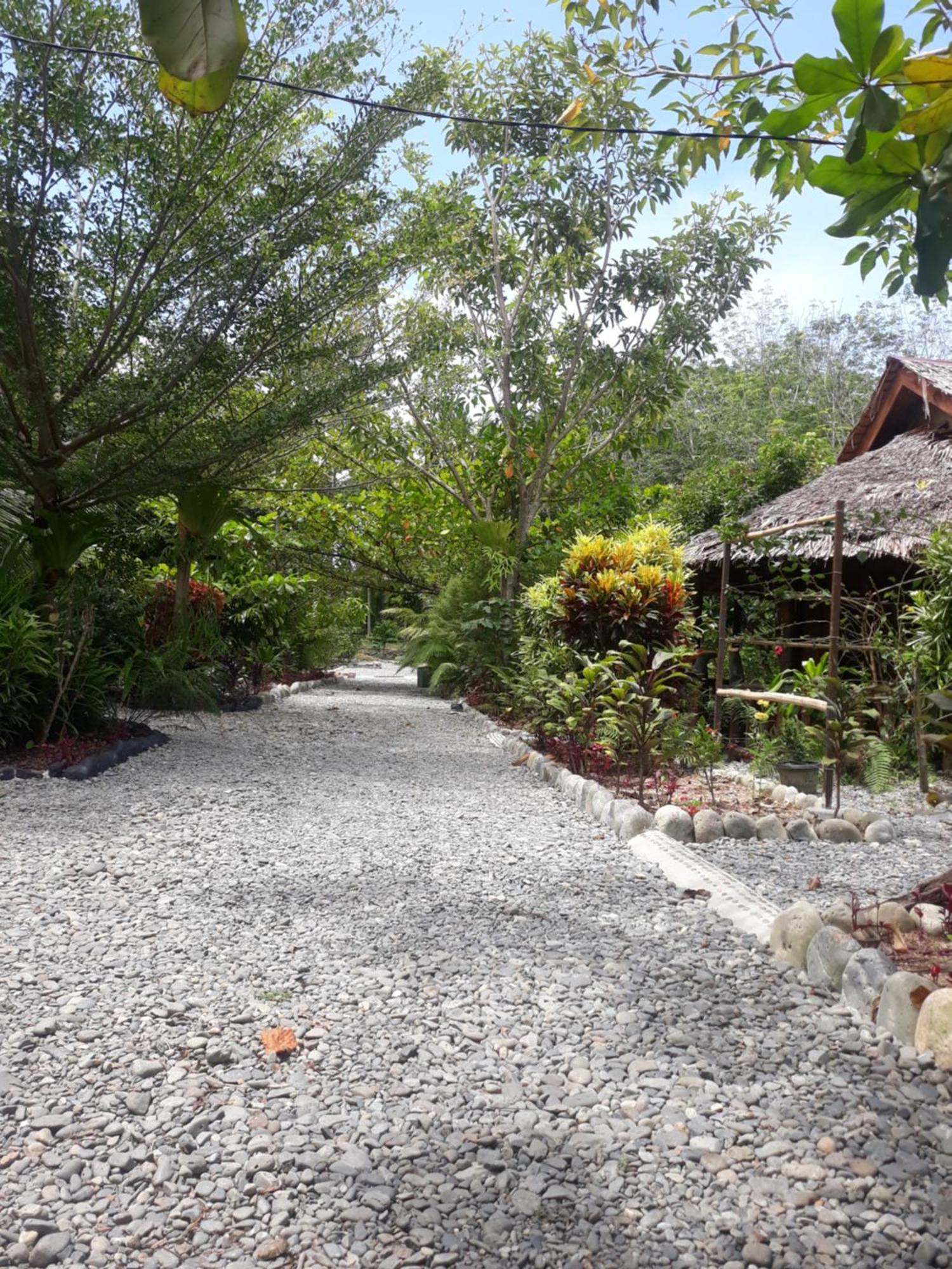 Magpie Homestay & Jungle Trekking Only For Guest Trekking With Us Bukit Lawang Exterior photo