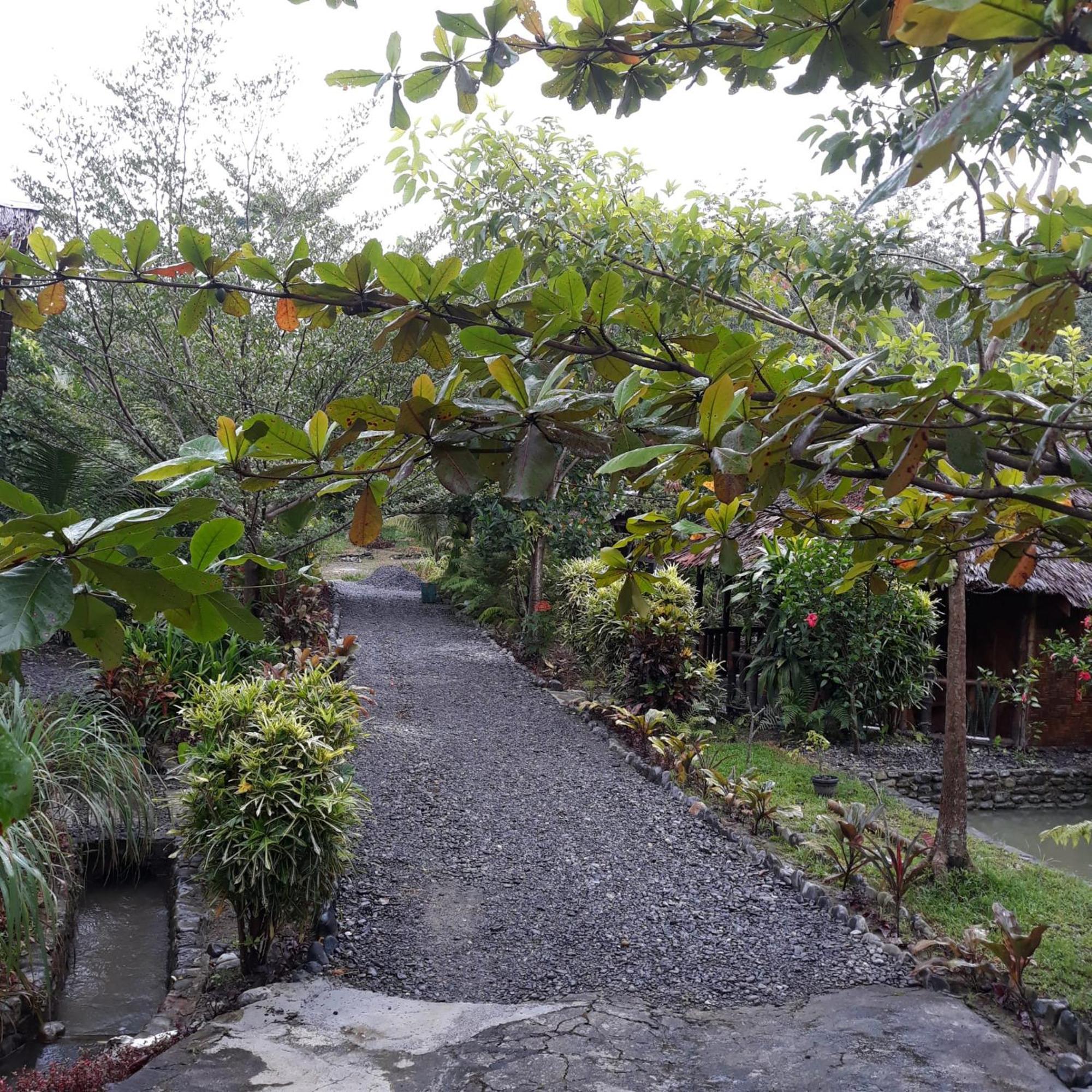 Magpie Homestay & Jungle Trekking Only For Guest Trekking With Us Bukit Lawang Room photo
