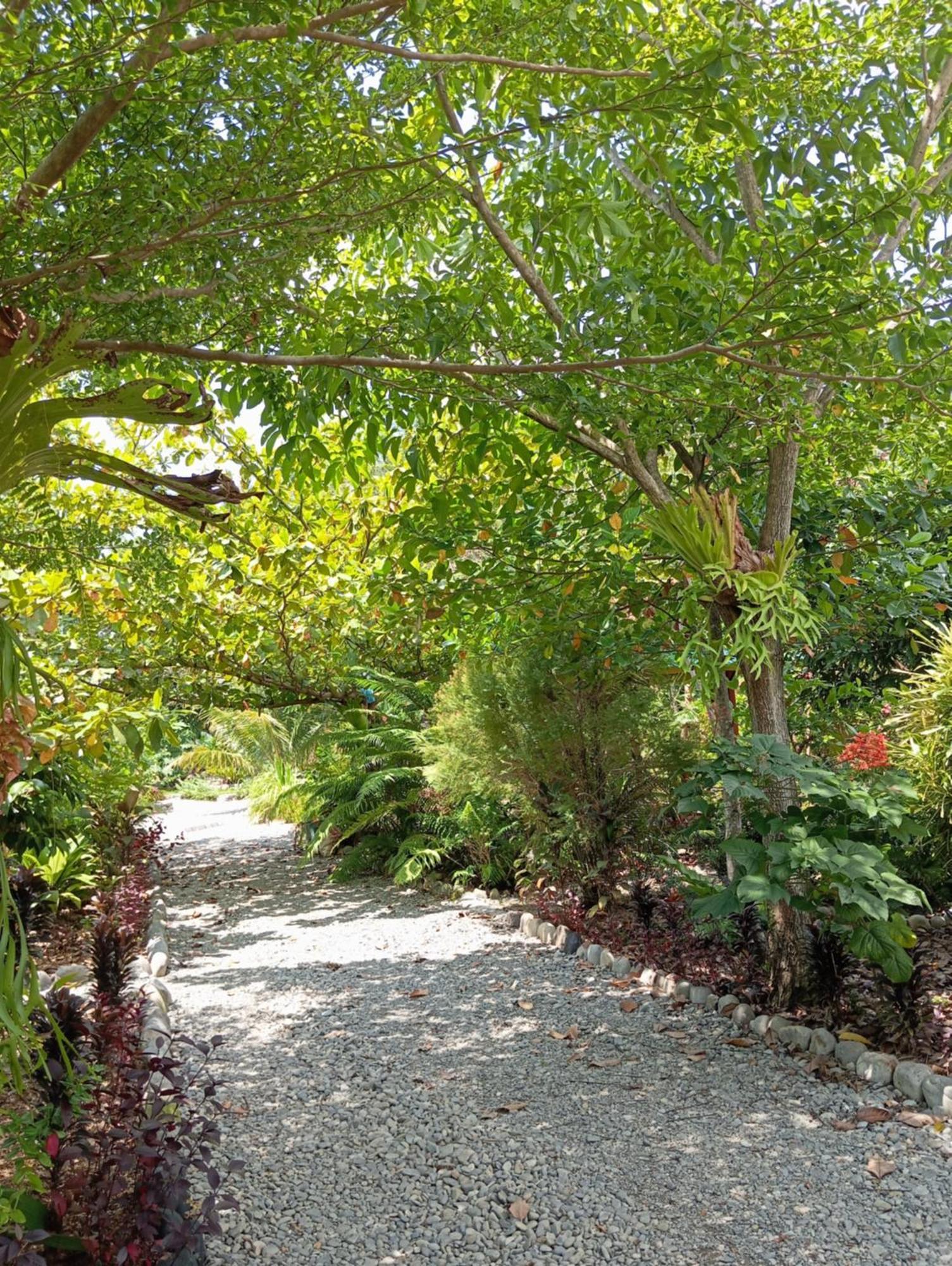 Magpie Homestay & Jungle Trekking Only For Guest Trekking With Us Bukit Lawang Exterior photo