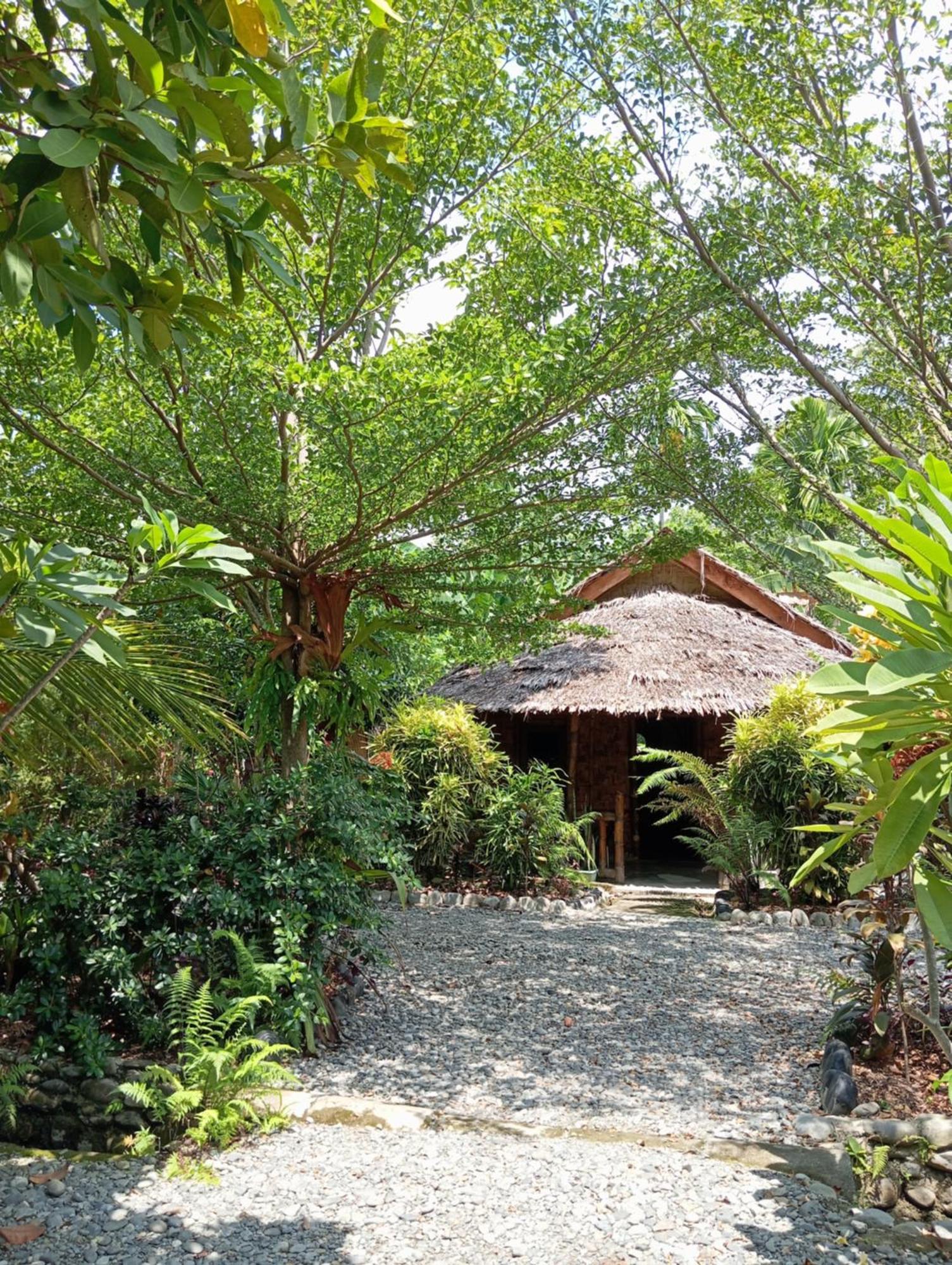 Magpie Homestay & Jungle Trekking Only For Guest Trekking With Us Bukit Lawang Exterior photo