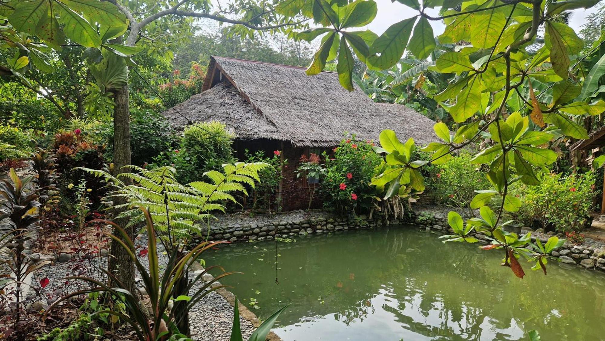 Magpie Homestay & Jungle Trekking Only For Guest Trekking With Us Bukit Lawang Exterior photo