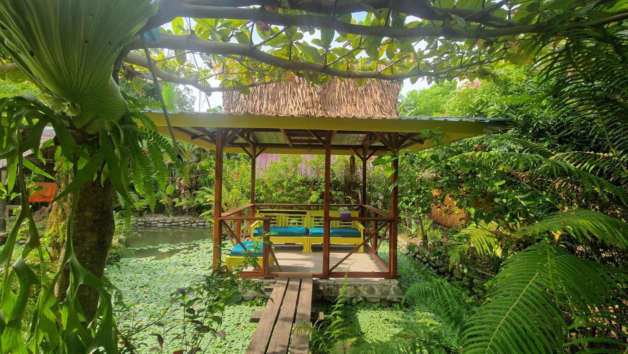 Magpie Homestay & Jungle Trekking Only For Guest Trekking With Us Bukit Lawang Exterior photo