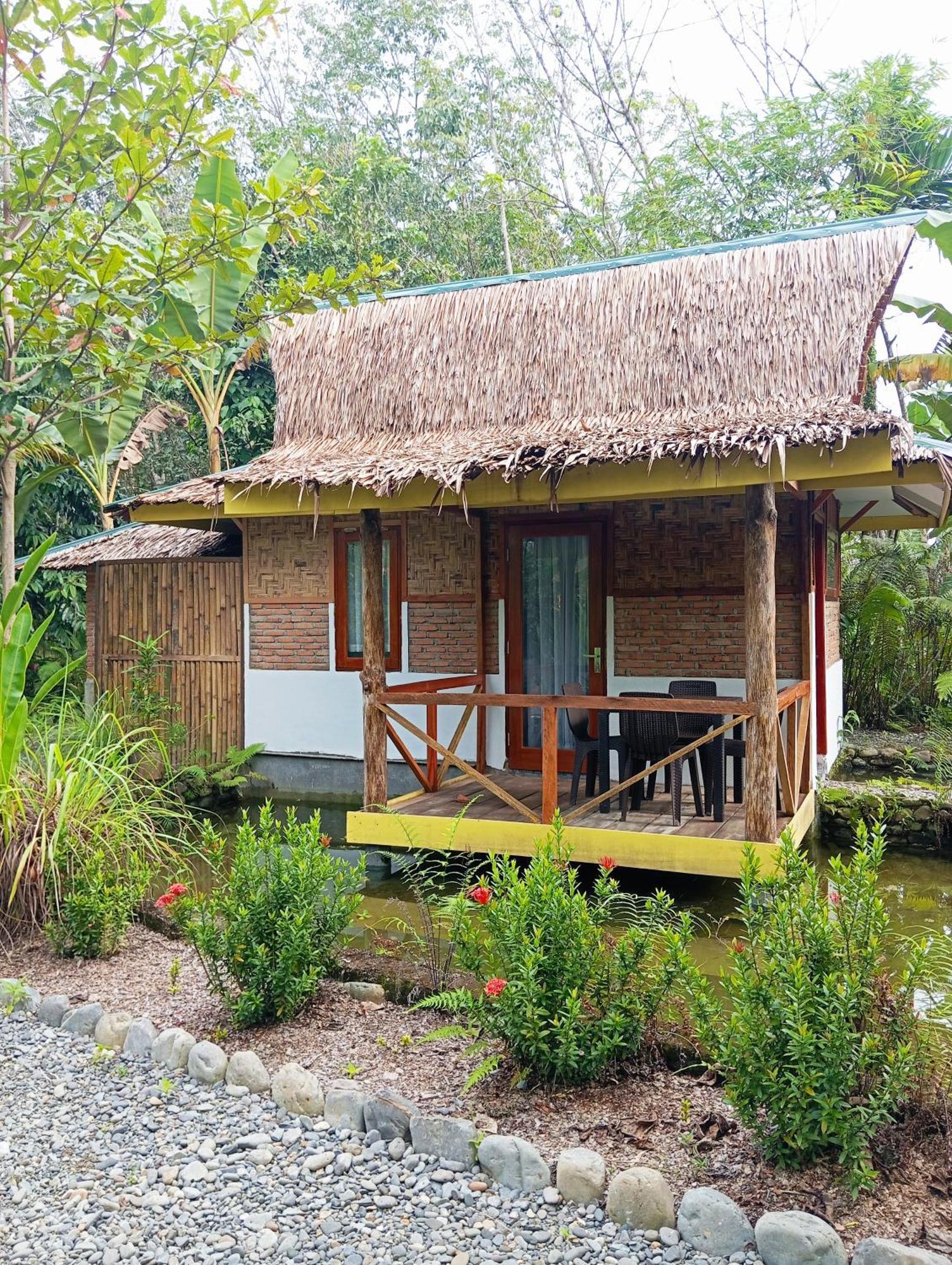 Magpie Homestay & Jungle Trekking Only For Guest Trekking With Us Bukit Lawang Exterior photo