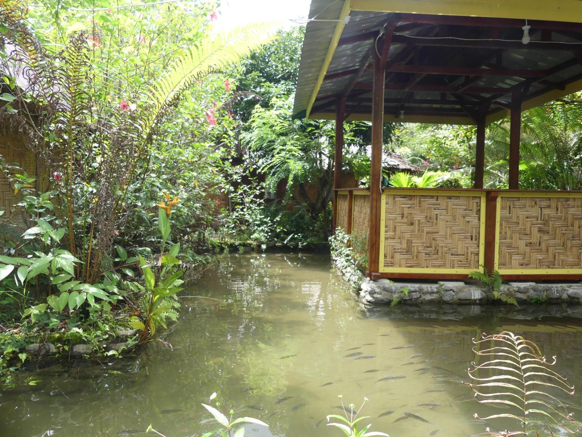Magpie Homestay & Jungle Trekking Only For Guest Trekking With Us Bukit Lawang Room photo