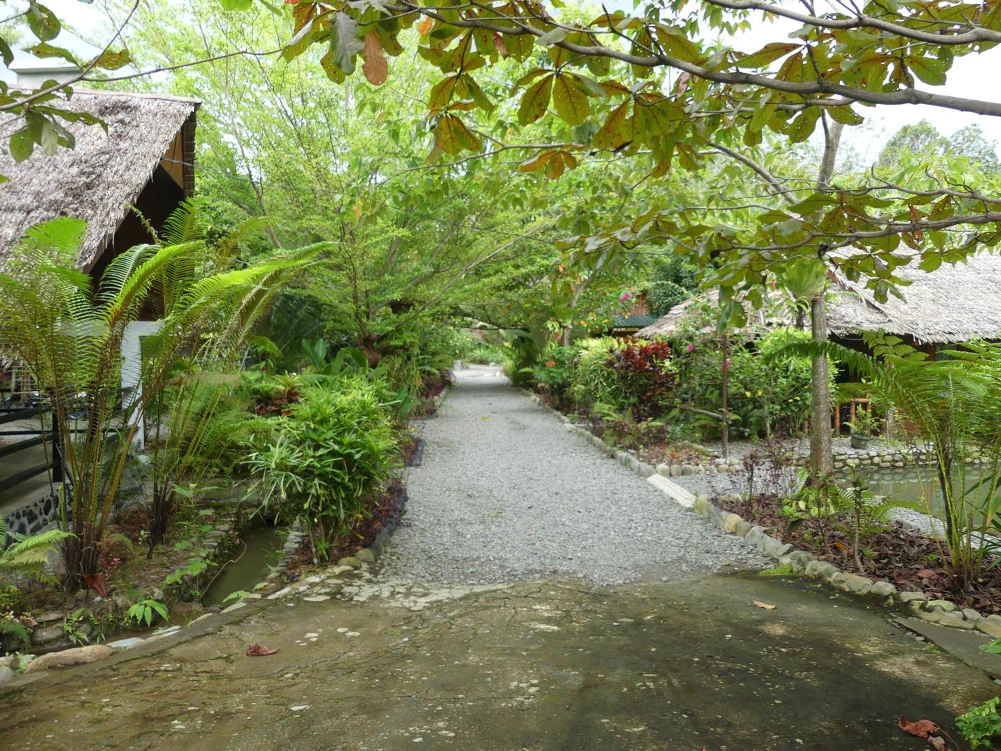 Magpie Homestay & Jungle Trekking Only For Guest Trekking With Us Bukit Lawang Exterior photo