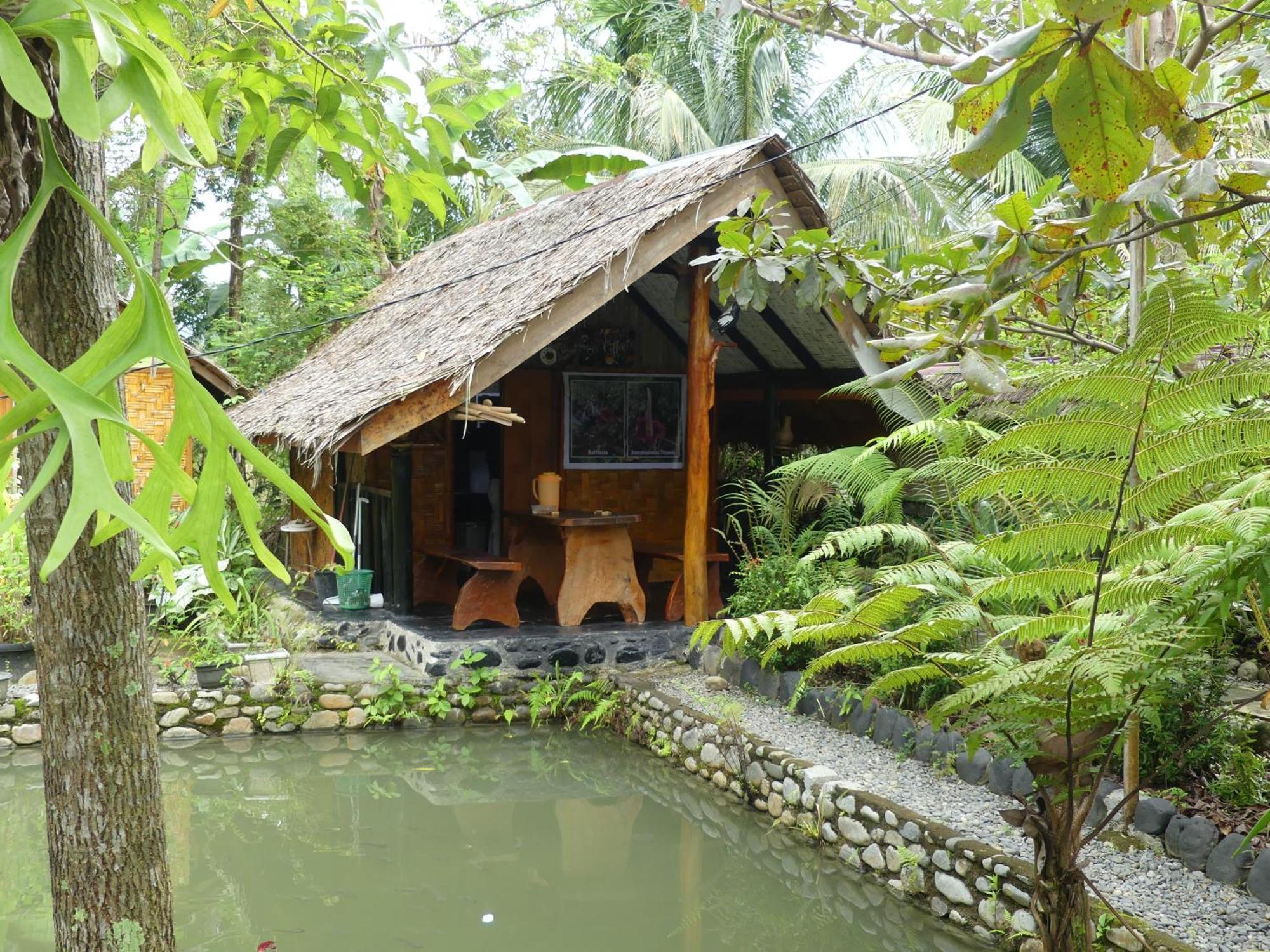Magpie Homestay & Jungle Trekking Only For Guest Trekking With Us Bukit Lawang Exterior photo